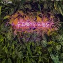 노가리세상 - 파주시 와동동 | 노가리세상