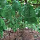 은자농장 이미지