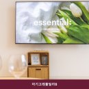 아기고래풀빌라B