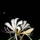 신세계써비스 이미지