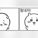 원진원 네이버블로그
