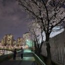 도제원지구 이미지