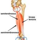 진심과정성 한의원 이미지