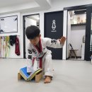 용인대 청목 mta 태권도 이미지