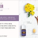 치유하모니