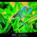 수조 원의 도박,TCL SQD는 과연 RGB 미니LED를 이길 수 있을까? 이미지