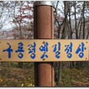 미천골약초