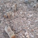 북면 종합복지회관 이미지