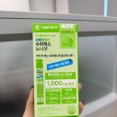다이소 숙취해소 노니샷 내돈내산 후기