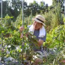 폰n닥터 이미지