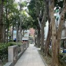 (주)가빈유통 | 대만 기념품 누가크래커 라뜰리에 루터스 평일 오픈런 웨이팅 및 가격 후기