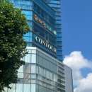 더컨투어 | 대구 헤어라인 문신 내돈내산 후기 [더컨투어]