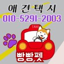 펫택시 이미지