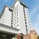 동국대학교일산불교한방병원 이미지