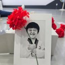 골든킥태권도 이미지