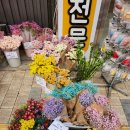 꽃같이별같이인플라워