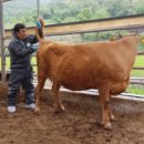 (주)넬바이오텍 이미지