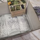 다우리 농장 이미지