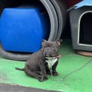 GS25 서귀포점 이미지