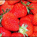 김용선 농장 이미지