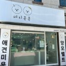 체리애견 | 경산애견미용 체리콕콕 후기