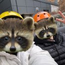 여천시외버스정류장 | [1박2일 여수여행] 하루는 여수 유월드, 하루는 이순신광장