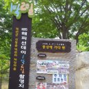 정희농박 이미지