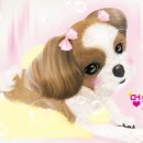 하루에 멍 이미지