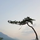 로하스랜드 이미지