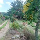 장마루보건진료소 이미지