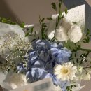 블룸더소브니