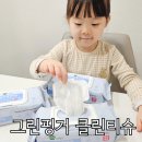 세정식품 | 아기 소독티슈 그린핑거 데일리 클린티슈 유아용품 세정 물티슈 후기
