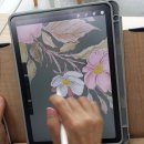 [덕계]디지털드로잉 첫걸음 | 아이패드 처음 시작! 디지털 드로잉 수업으로 그린 꽃그림