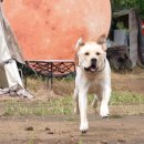 규성농장 이미지