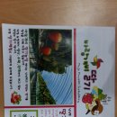 바람개비 딸기학교 이미지