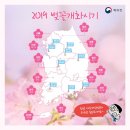 개화 이미지