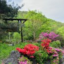 청화산하늘정원 이미지