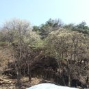 숲이랑농원 이미지