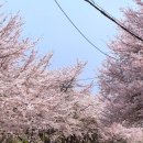 동태찌개 유명한집(본점) 이미지