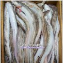 7월 31일(화) 목포는항구다 생선카페 판매생선[ 아나고장어(붕장어), 민어 , 쏨뱅이, 자반고등어 ] 이미지