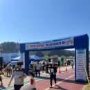 진주남강마라톤 / 신청, 부대시설, 주차, 기념품/ 벚꽃 현황