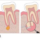 드림치주과치과의원 이미지