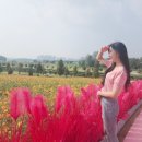 일죽농협 방은지소 | 안성팜랜드 입장료 할인 예매 꿀팁