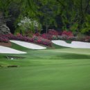 초원골프연습장 이미지