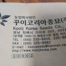꾸이종묘