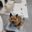 몽꾸르펫트하우스 이미지