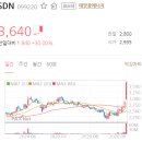 SDN 주가 5거래일 연속 상승세 향후 전망부터 보시죠! 이미지