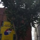 차영일비뇨기과의원 이미지