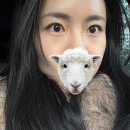 합정약국 | 합정 편평사마귀 성지 후기, 얼굴+목 500개 이상 뺀 후기, 가격, 듀오덤 알러지 “1일차~3일차”