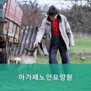 아가페노인전문요양원 네이버블로그